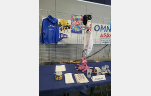Forum des associations 2025